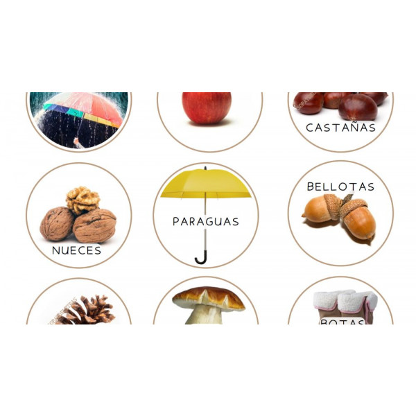 Ruleta lecto de las estaciones