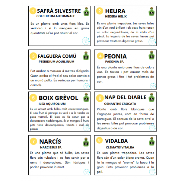 PLANTES DEL NOSTRE ENTORN