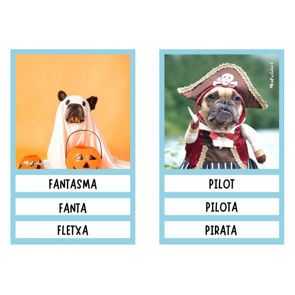 Pack Vocabulari Carnaval