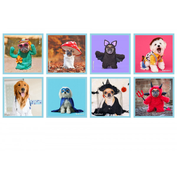 Pack Vocabulari Carnaval