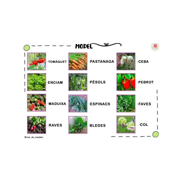 PACK HORT ESCOLAR: LECTOESCRIPTURA (català)