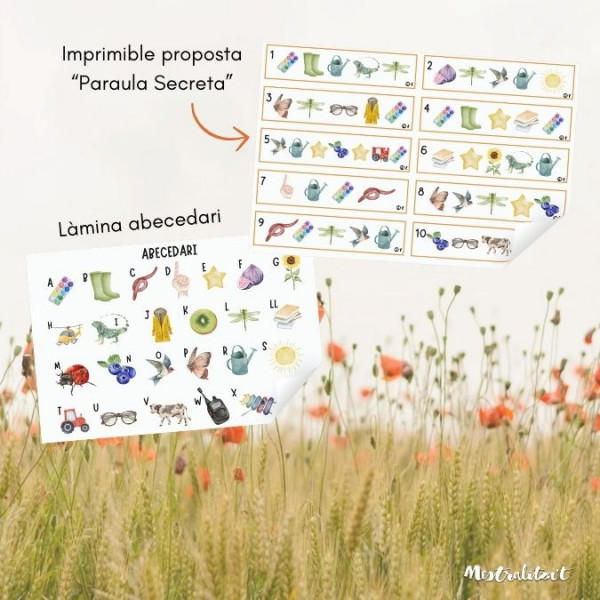 PACK MATERIALS I PROPOSTES PRIMAVERA