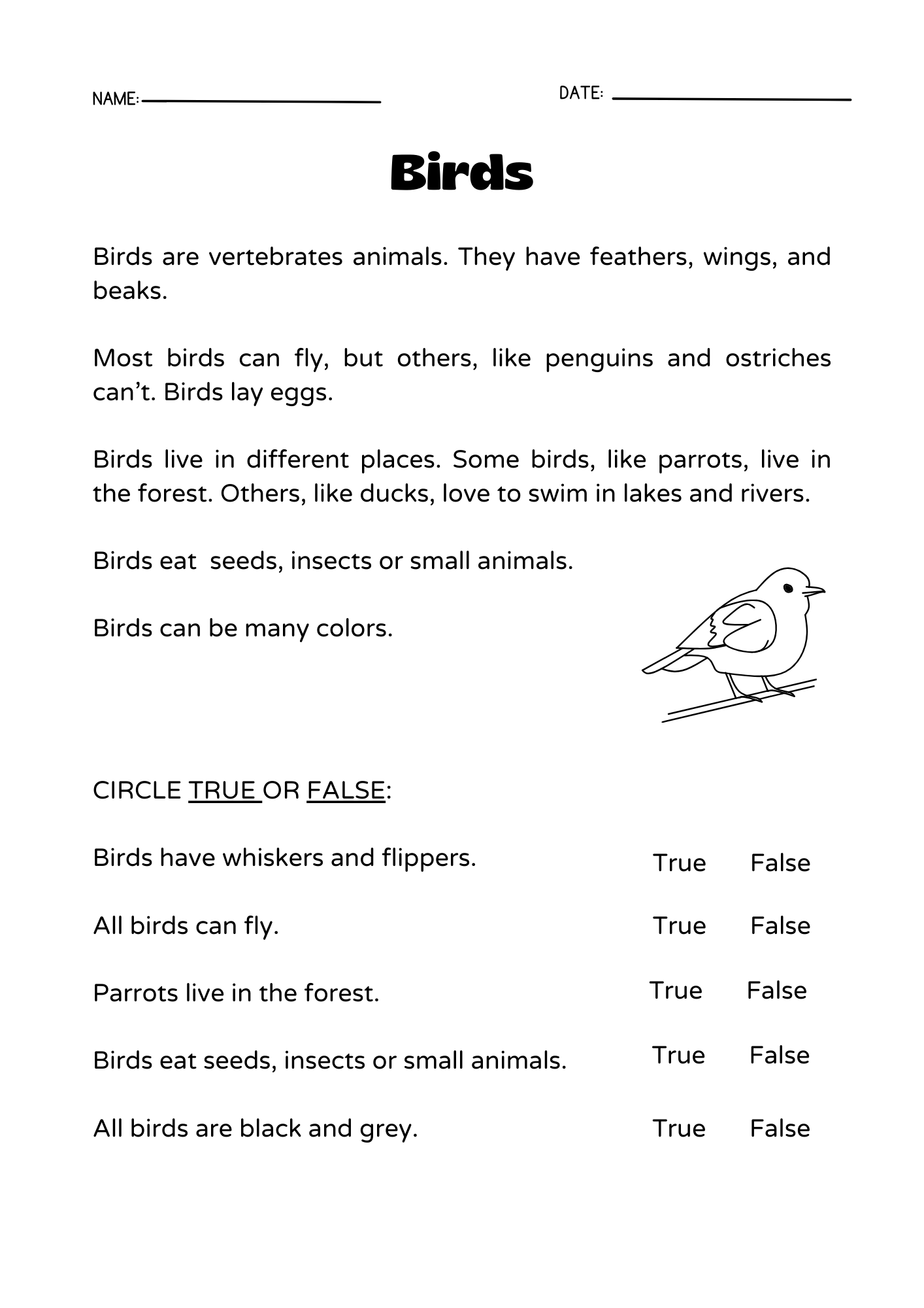 Birds learning situation