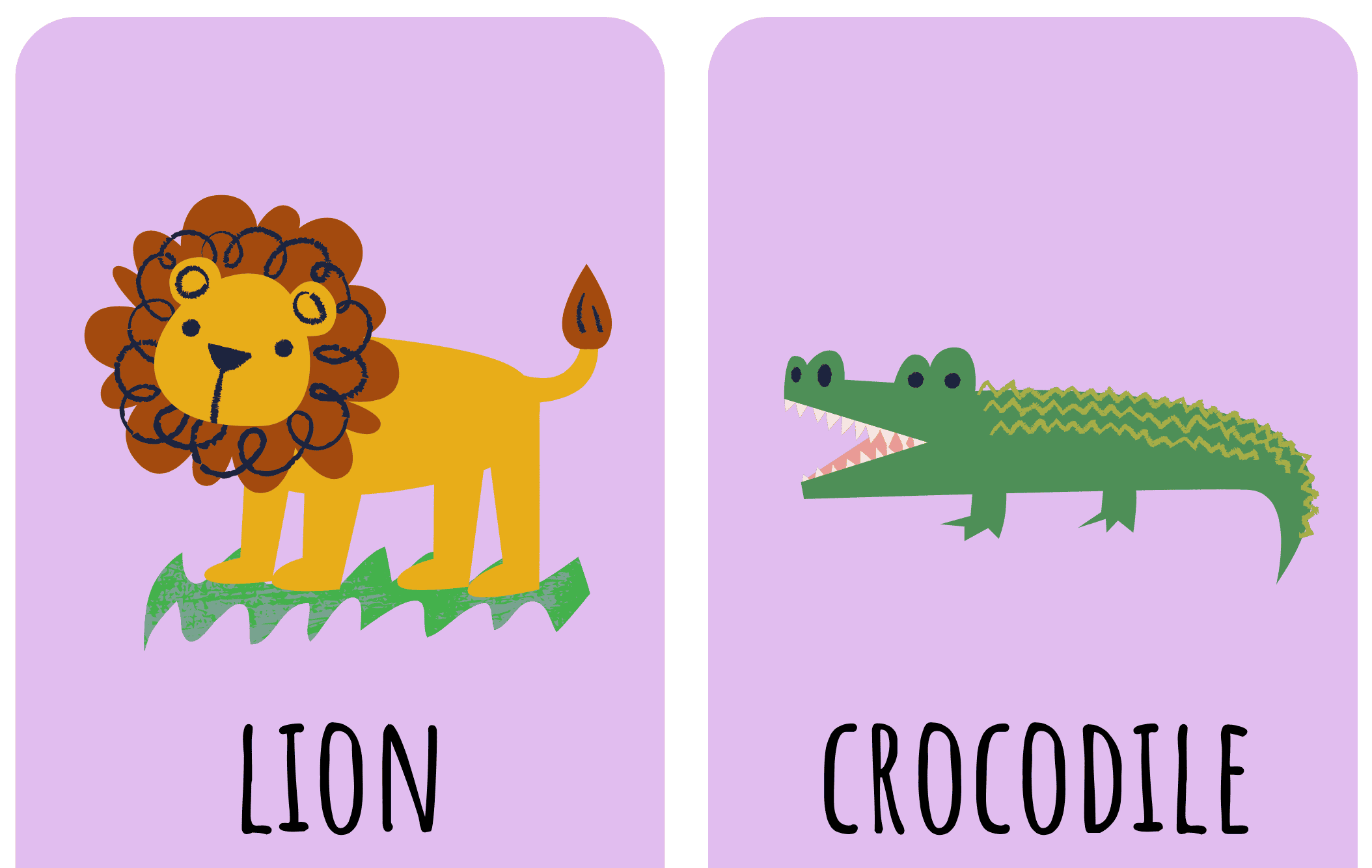Animal Flashcards