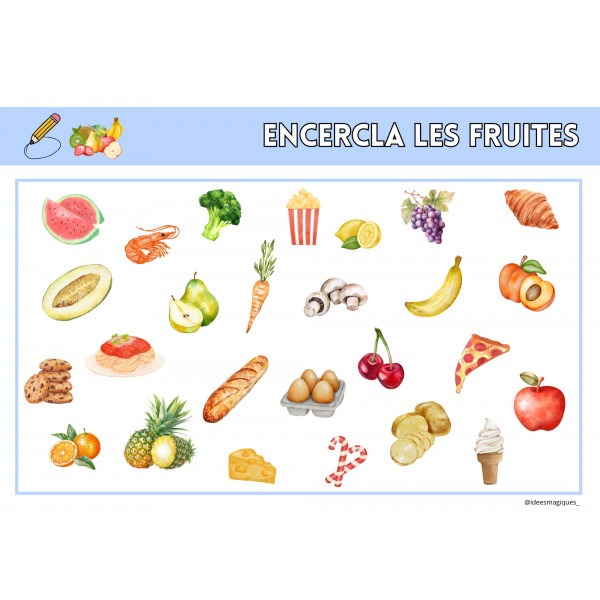 camps semàntics CONCEPTES