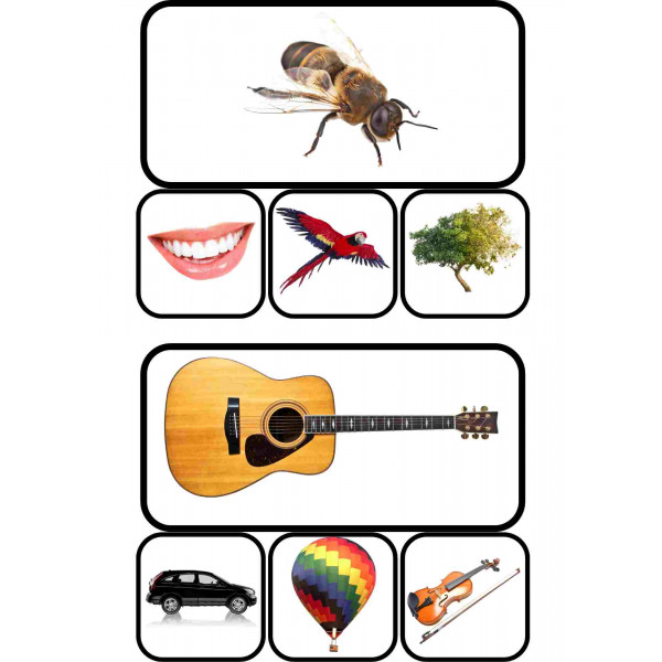 Conciencia fonológica en inglés: rimas