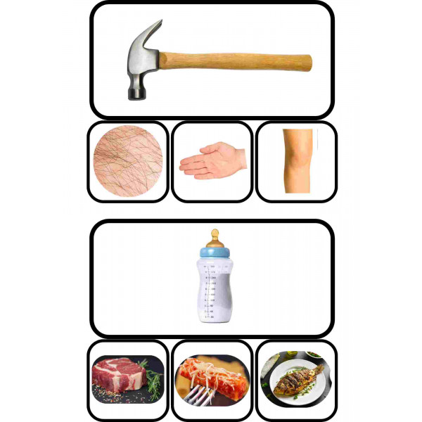 Consciència fonològica: paraules que rimen