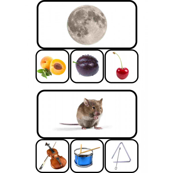 Consciència fonològica: paraules que rimen