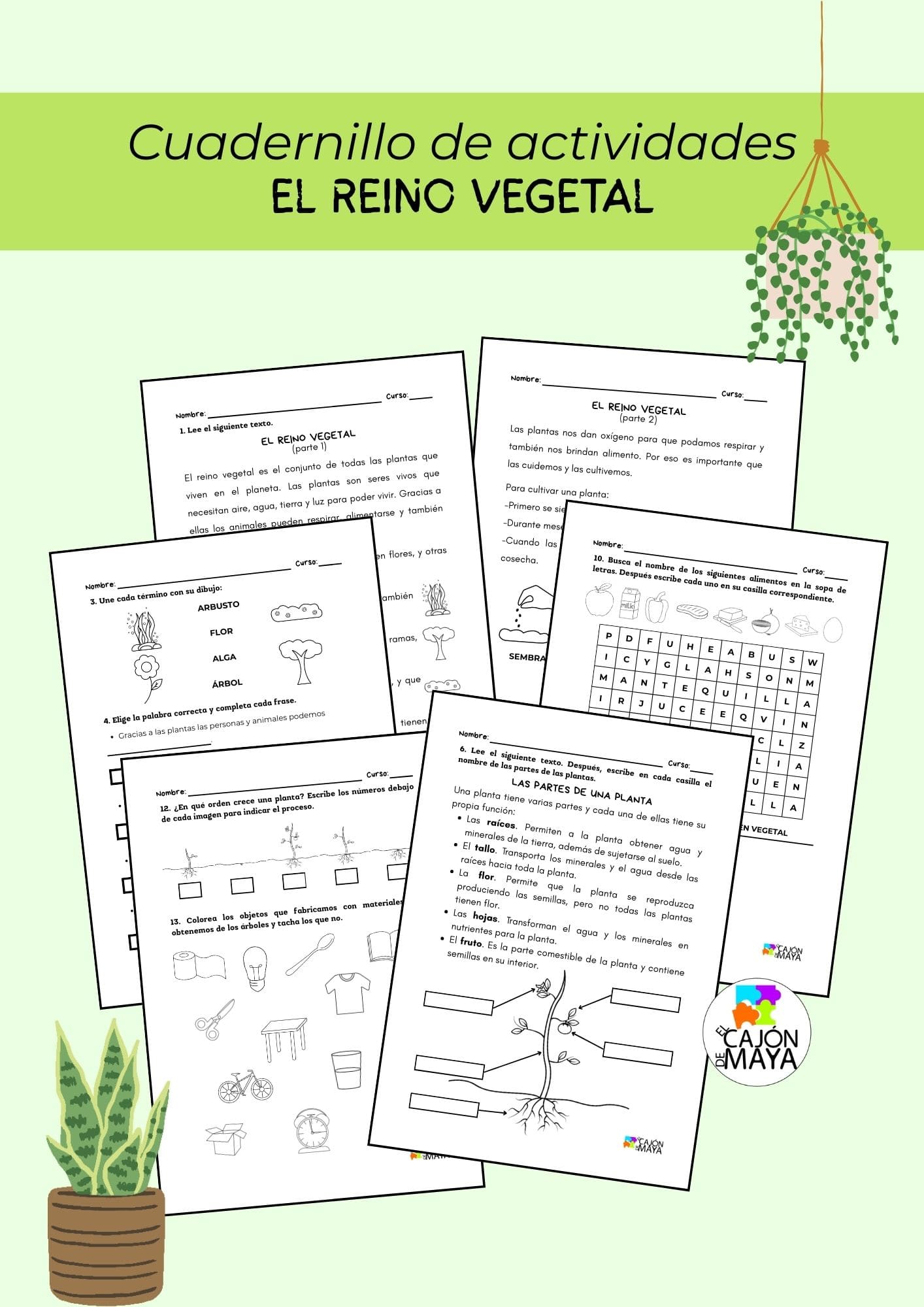 El reino vegetal - Unidad Didáctica