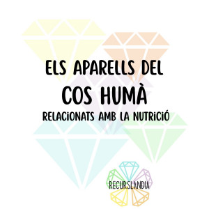 ELS APARELLS DEL COS HUMÀ RELACIONATS AMB LA NUTRICIÓ
