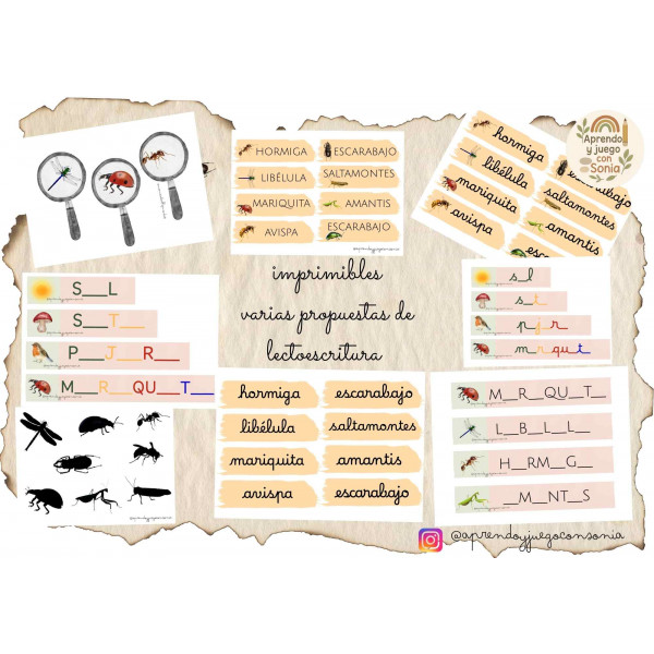 PRIMAVERA INSECTOS LECTOESCRITURA