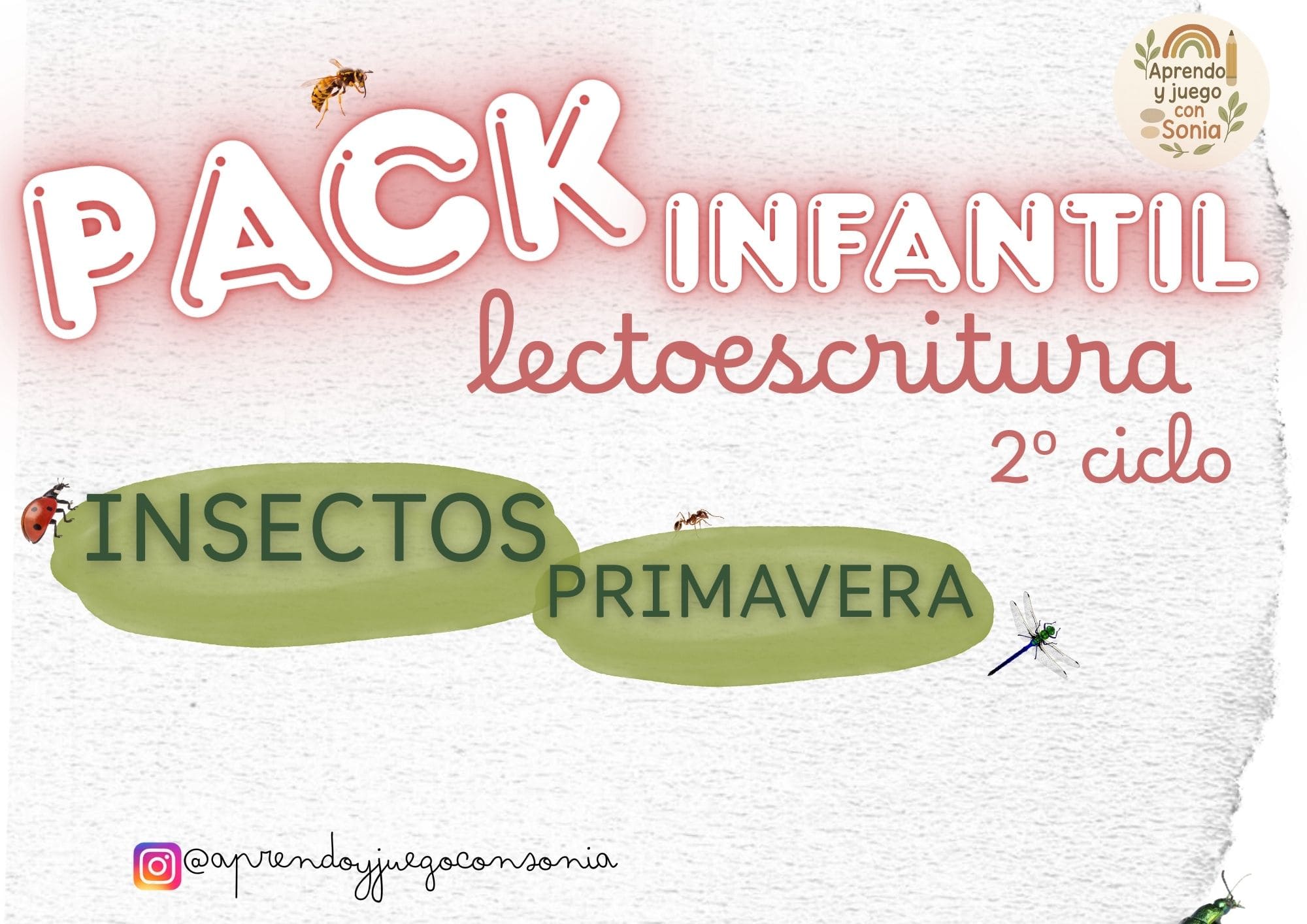 PRIMAVERA INSECTOS LECTOESCRITURA
