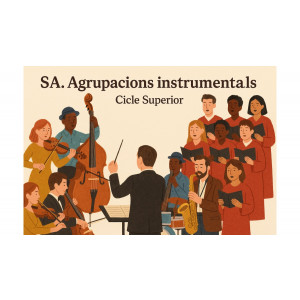 Sa15. AGRUPACIONS INSTRUMENTALS (Cicle Superior)