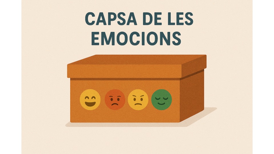 Ee4. Emocionari. Capsa de les emocions