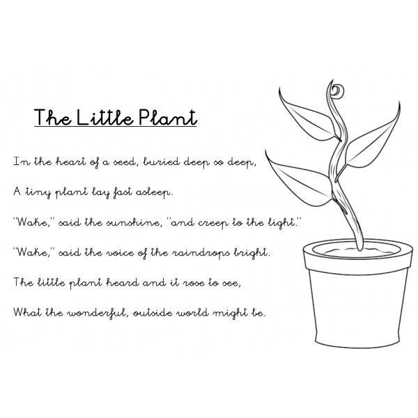 POEM THE LITTLE PLANT