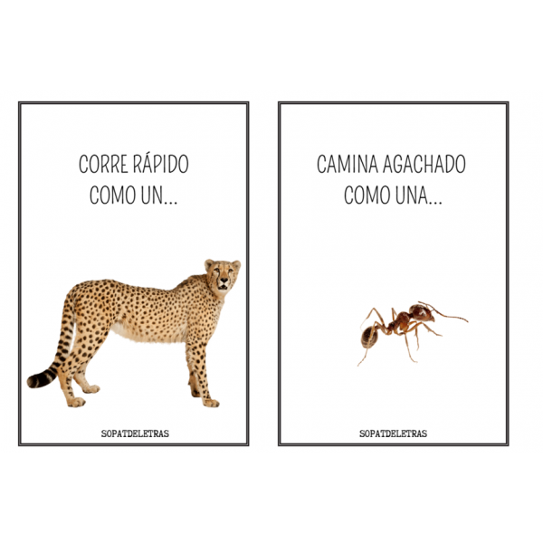 Tarjetas pausas activas