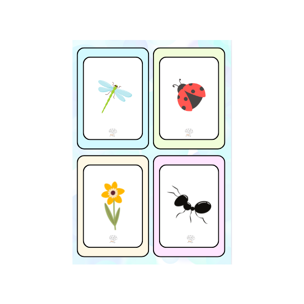Lupa de la primavera