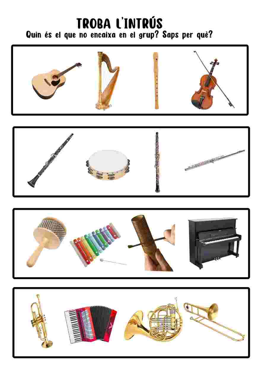 Troba l'instrument intrús.