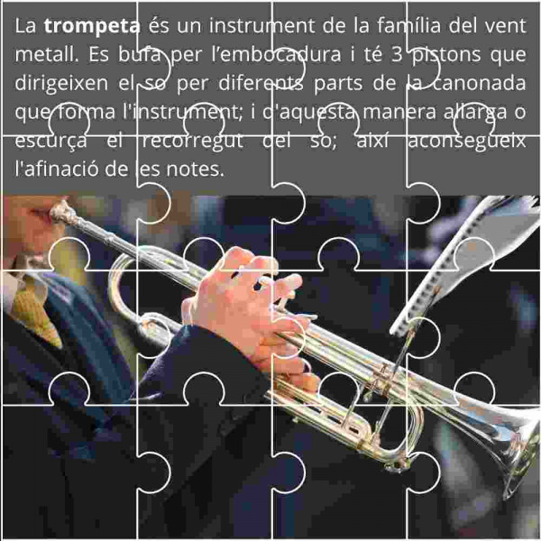 Puzzles d'instruments musicals