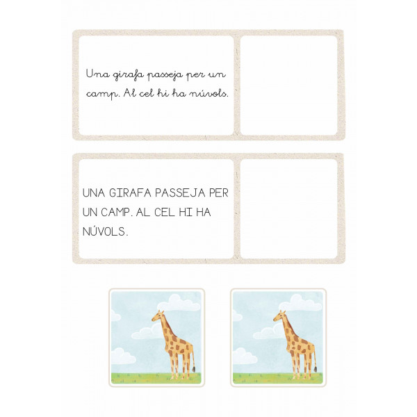 petites comprensions lectores