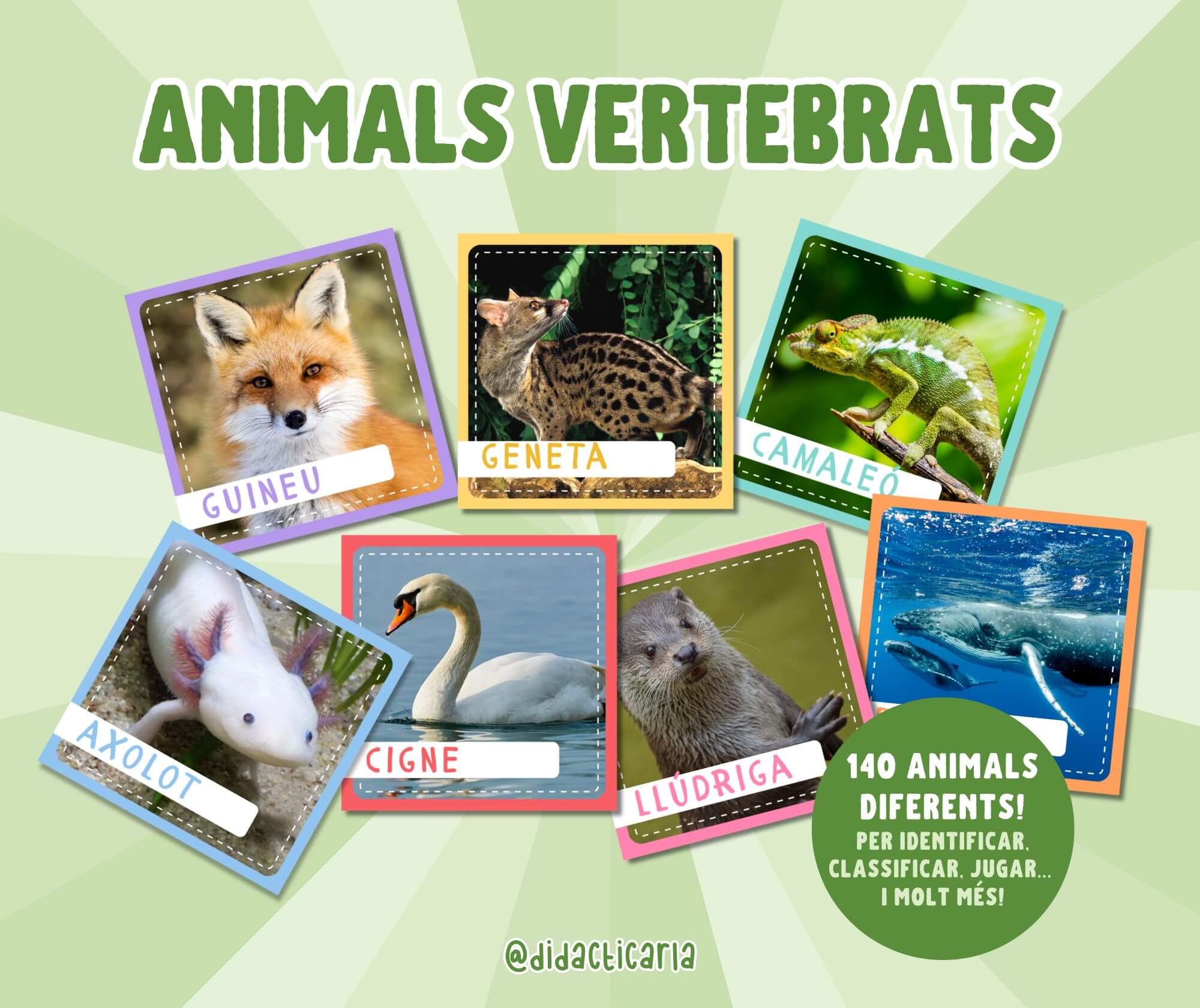 Targetes d'animals vertebrats