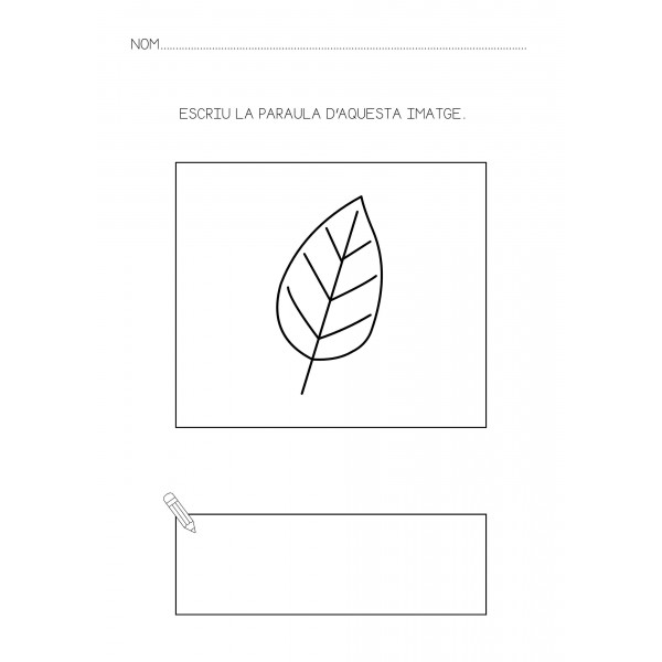 ESCRIPTURA PARAULES de 2 a 5 sons.
