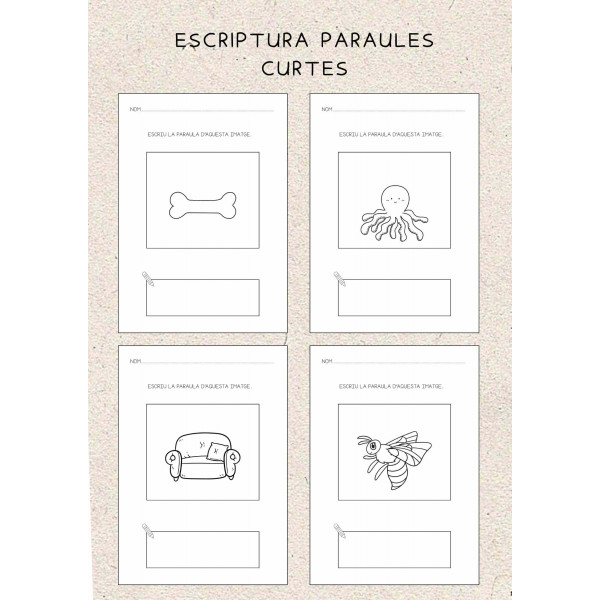 ESCRIPTURA PARAULES de 2 a 5 sons.