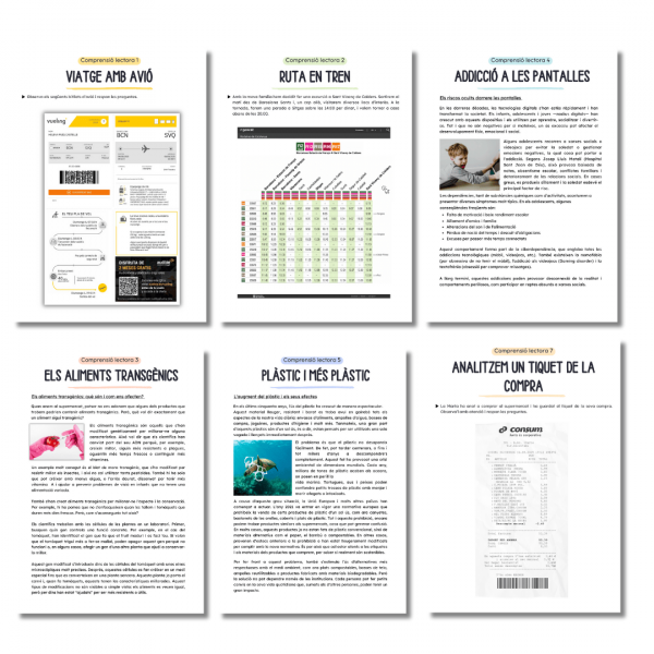 COMPRENSIONS LECTORES PER A CICLE SUPERIOR 📚