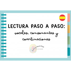LECTURA PASO A PASO: VOCALES, CONSONANTES Y COMBINACIONES.