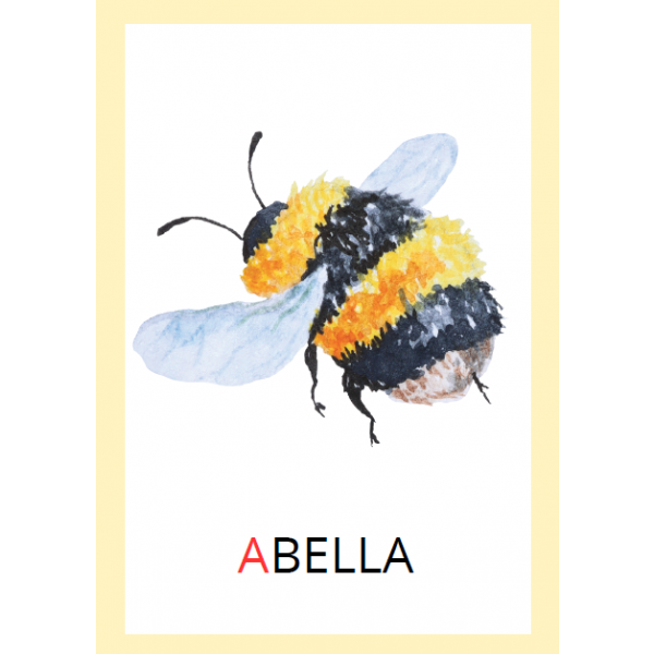 VOCABULARI PRIMAVERA