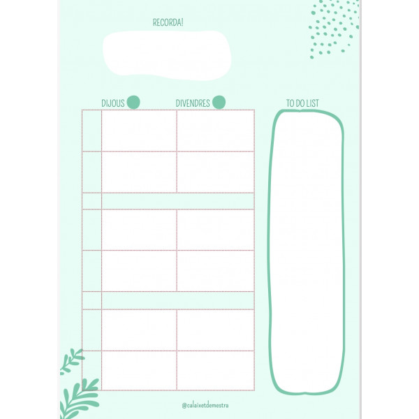 Quadern docent atemporal! Color verd