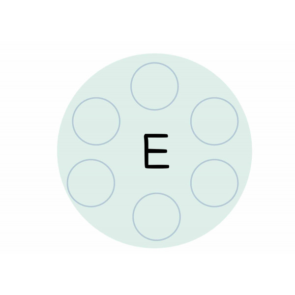 SO INCIAL VOCALS Consciència fonològica ( manipulant)