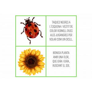 ENDEVINALLES PRIMAVERA