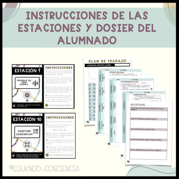 Plan de trabajo Salvemos a los chimpancés