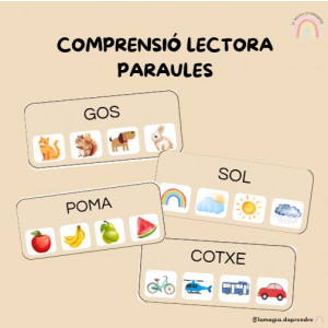 Comprensió lectora paraules