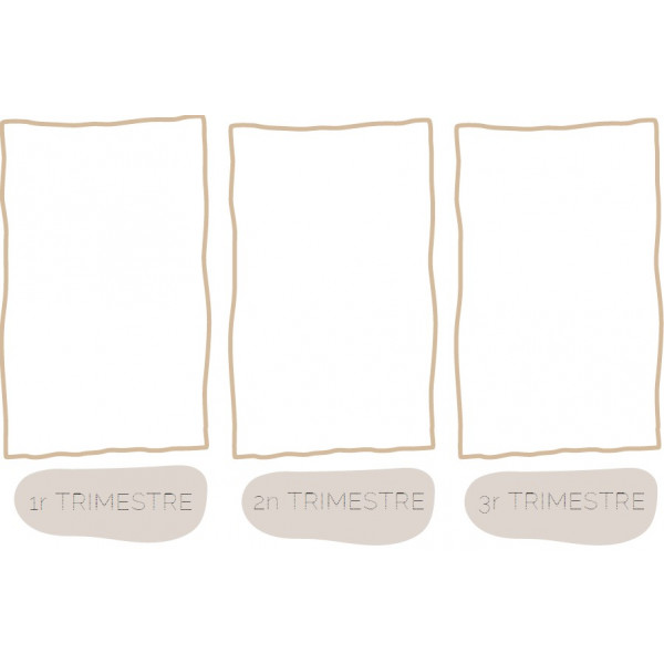 Tríptic evolució figura humana