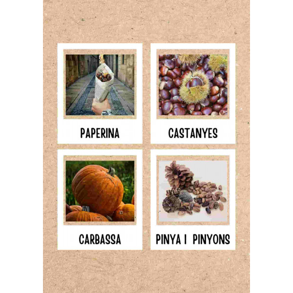 Targetes de vocabulari TARDOR