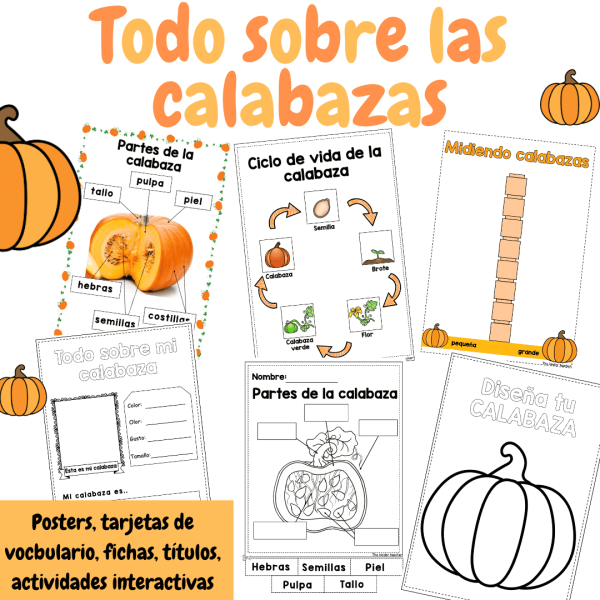 Todo sobre las calabazas - Rincon de investigación