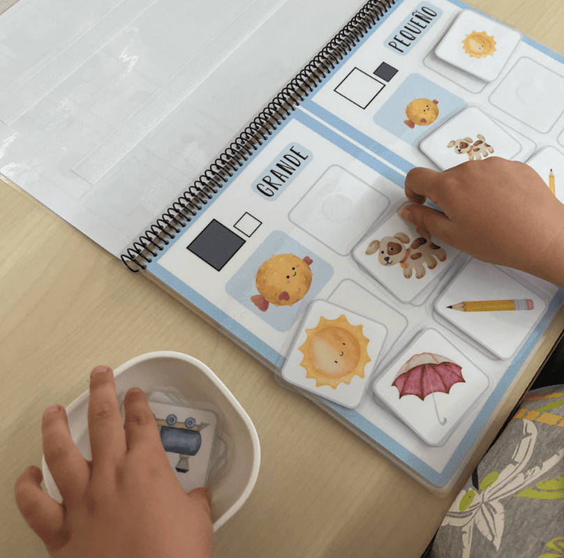 ✨ Cuadernos TEACCH Conceptos básicos (nivel inicial y medio) ✨