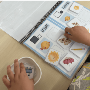 ✨ Cuadernos TEACCH Conceptos básicos (nivel inicial y medio) ✨