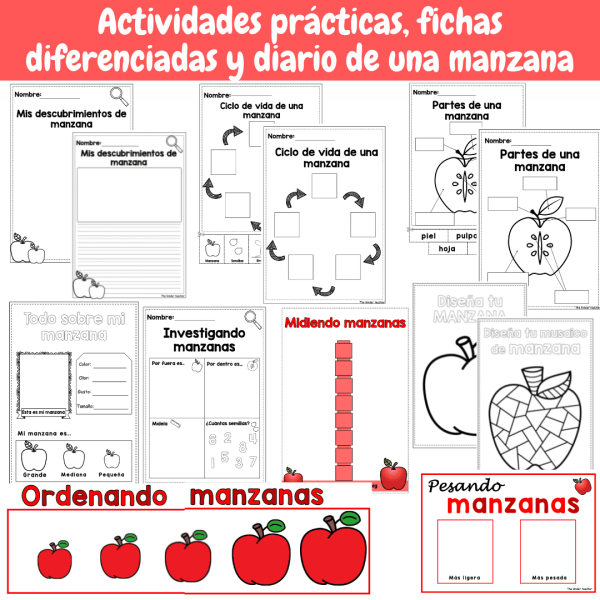 Todo sobre las manzanas - Rincon de ciencias
