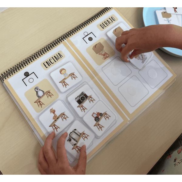 ✨ Cuadernos TEACCH Conceptos básicos (nivel inicial y medio) ✨