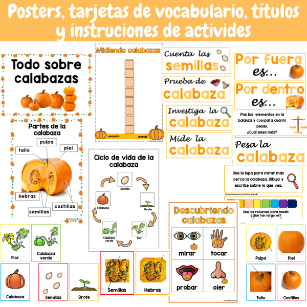 Todo sobre las calabazas - Rincon de investigación