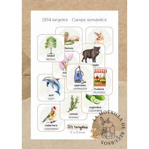 264 targetes - Camps semàntics