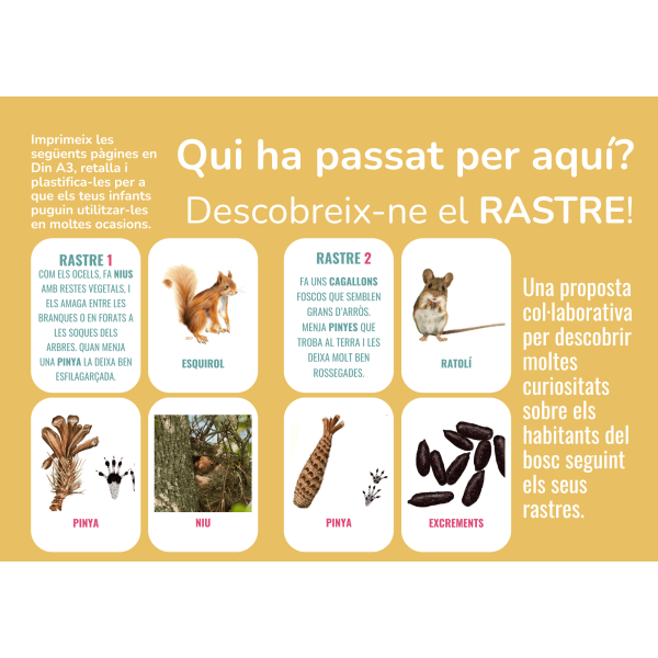 JOC CARTES RASTRES ANIMALS DEL BOSC
