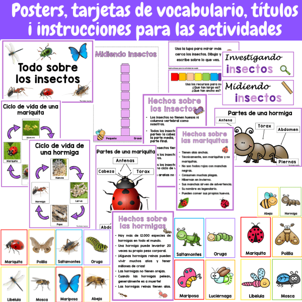 Todo sobre los insectos - Rincón de ciencias - Educación primaria e Infantil