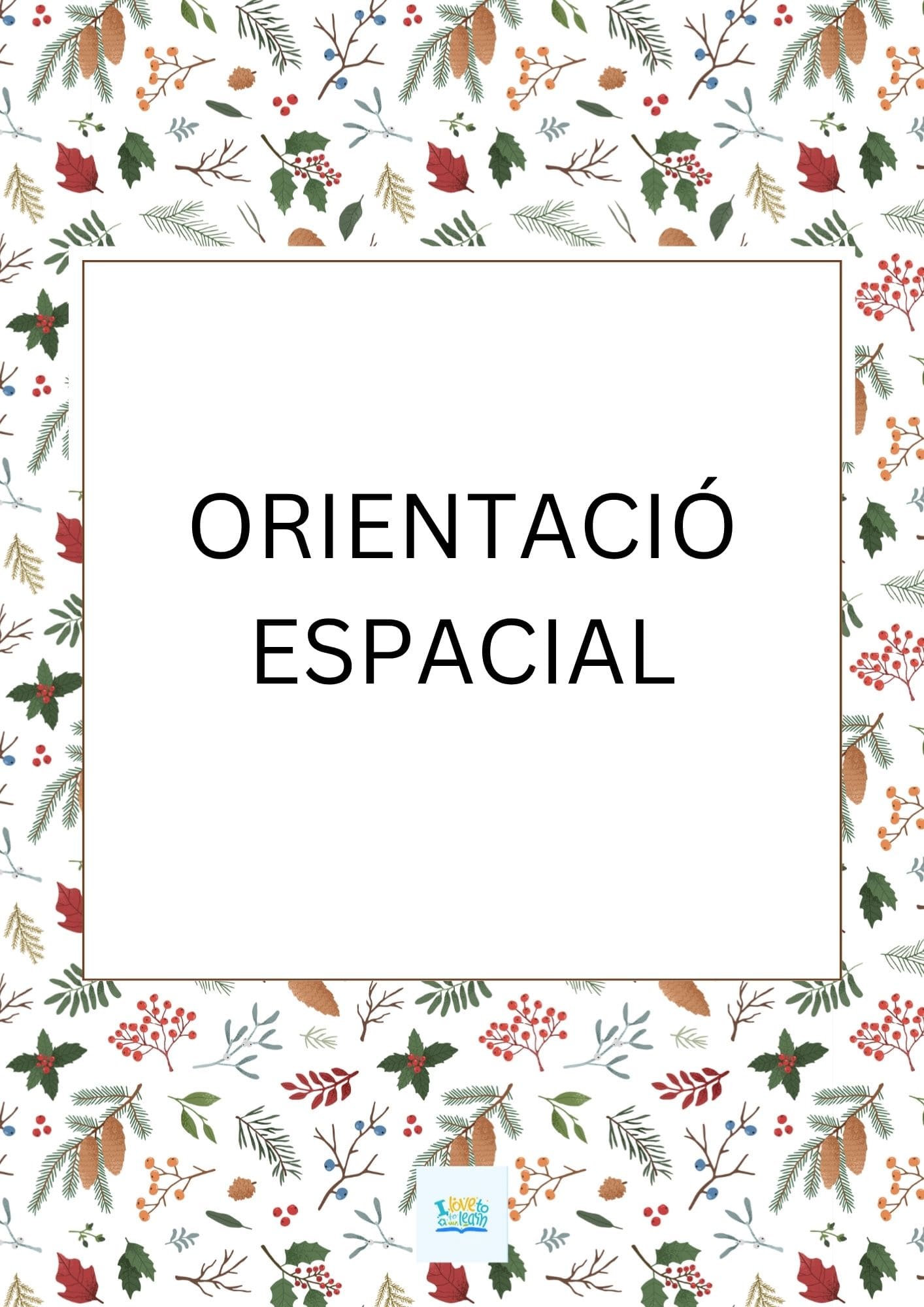 Orientació espacial