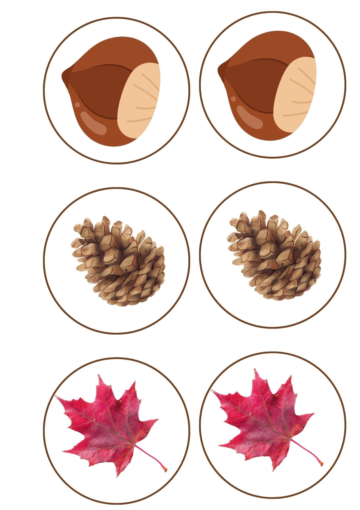 Orientación espacial