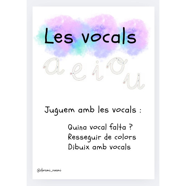 VOCALS.RECULL D'ACTIVITATS