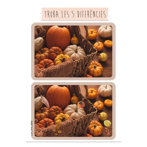 Troba les diferències